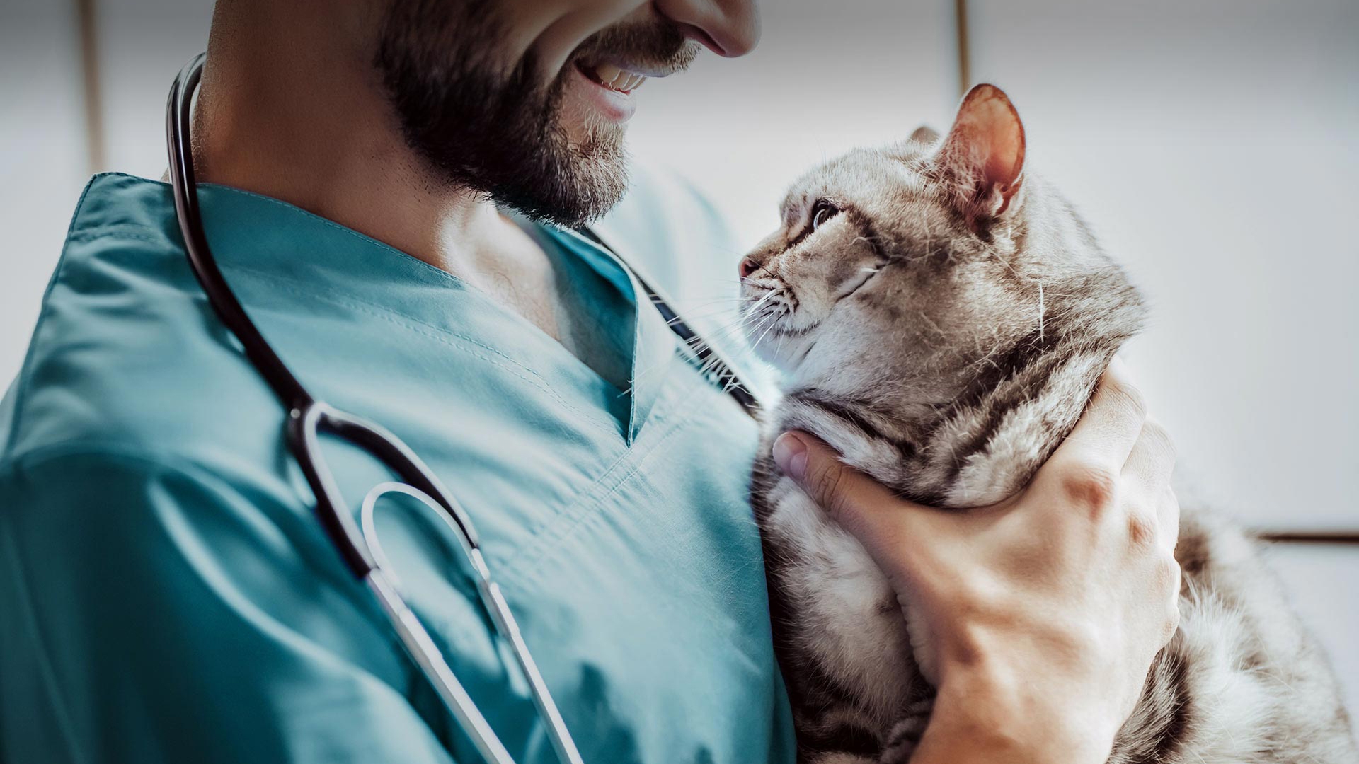 Bahçelerarası Veteriner